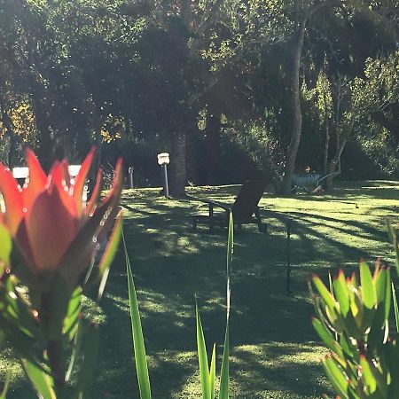 Constantia Spring Bed & Breakfast Dış mekan fotoğraf