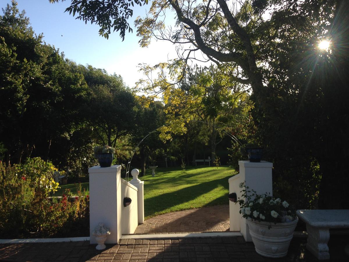 Constantia Spring Bed & Breakfast Dış mekan fotoğraf