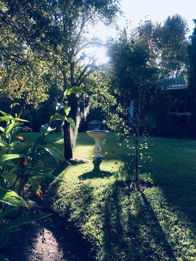 Constantia Spring Bed & Breakfast Dış mekan fotoğraf
