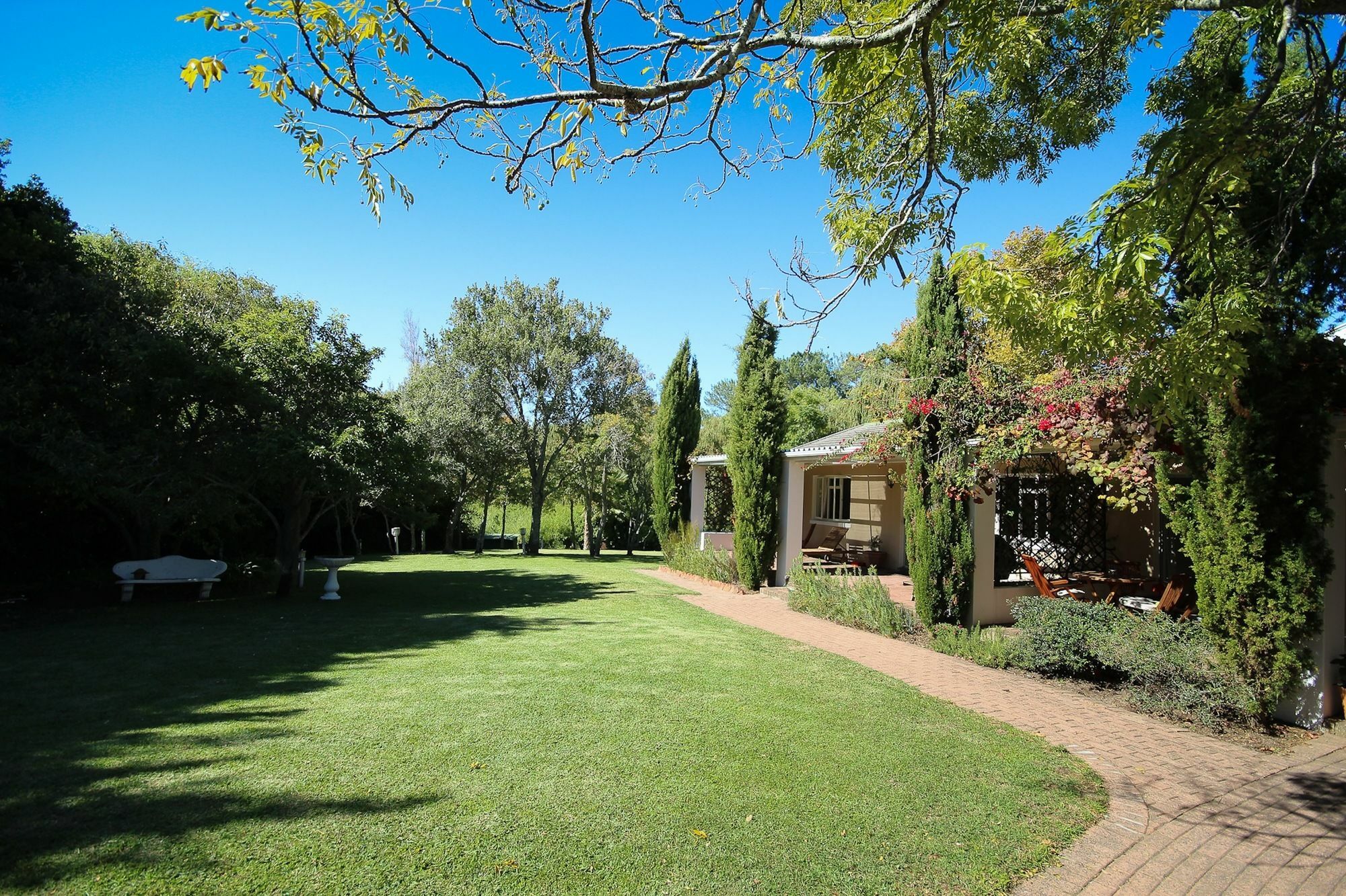 Constantia Spring Bed & Breakfast Dış mekan fotoğraf