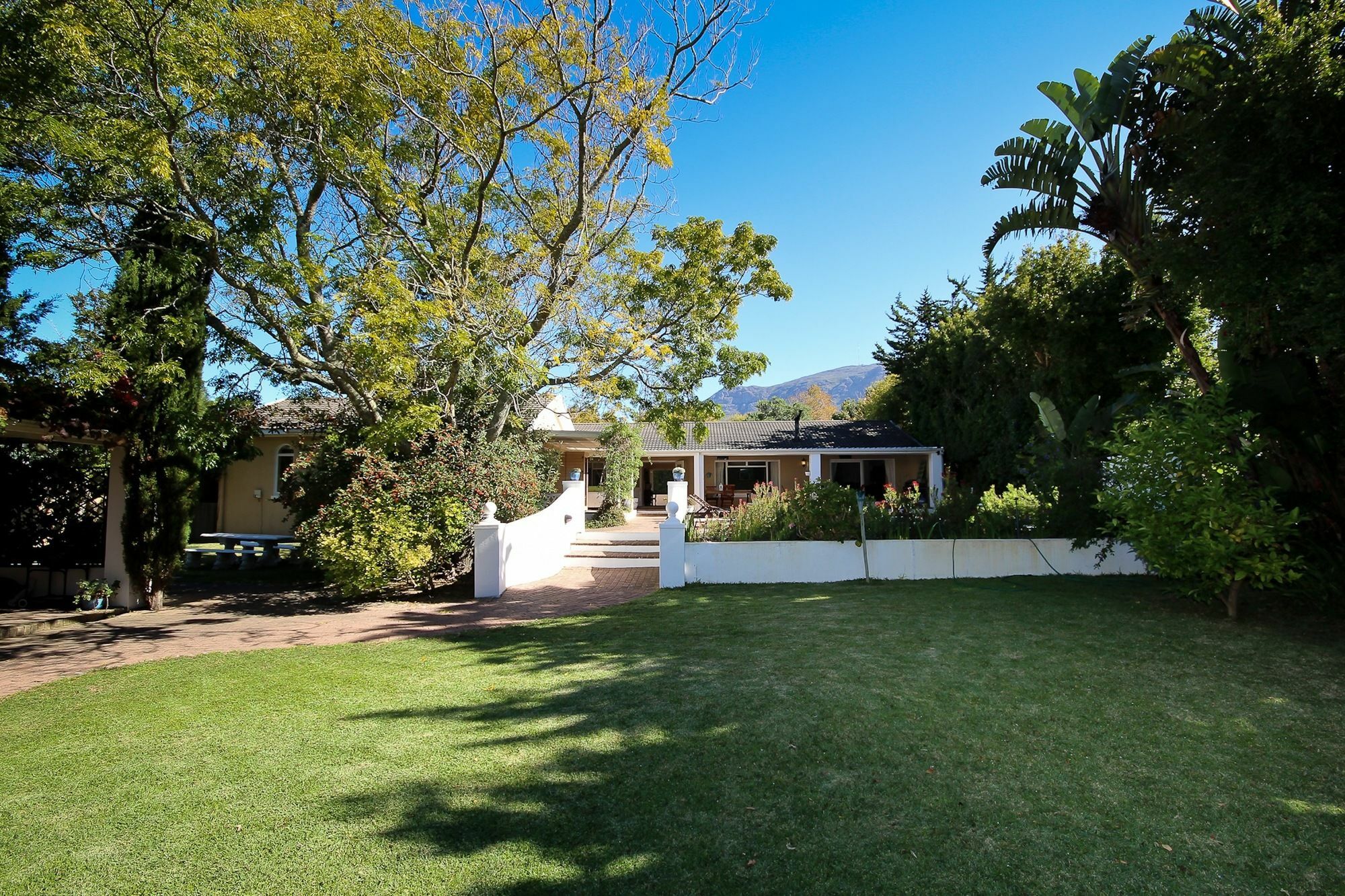 Constantia Spring Bed & Breakfast Dış mekan fotoğraf