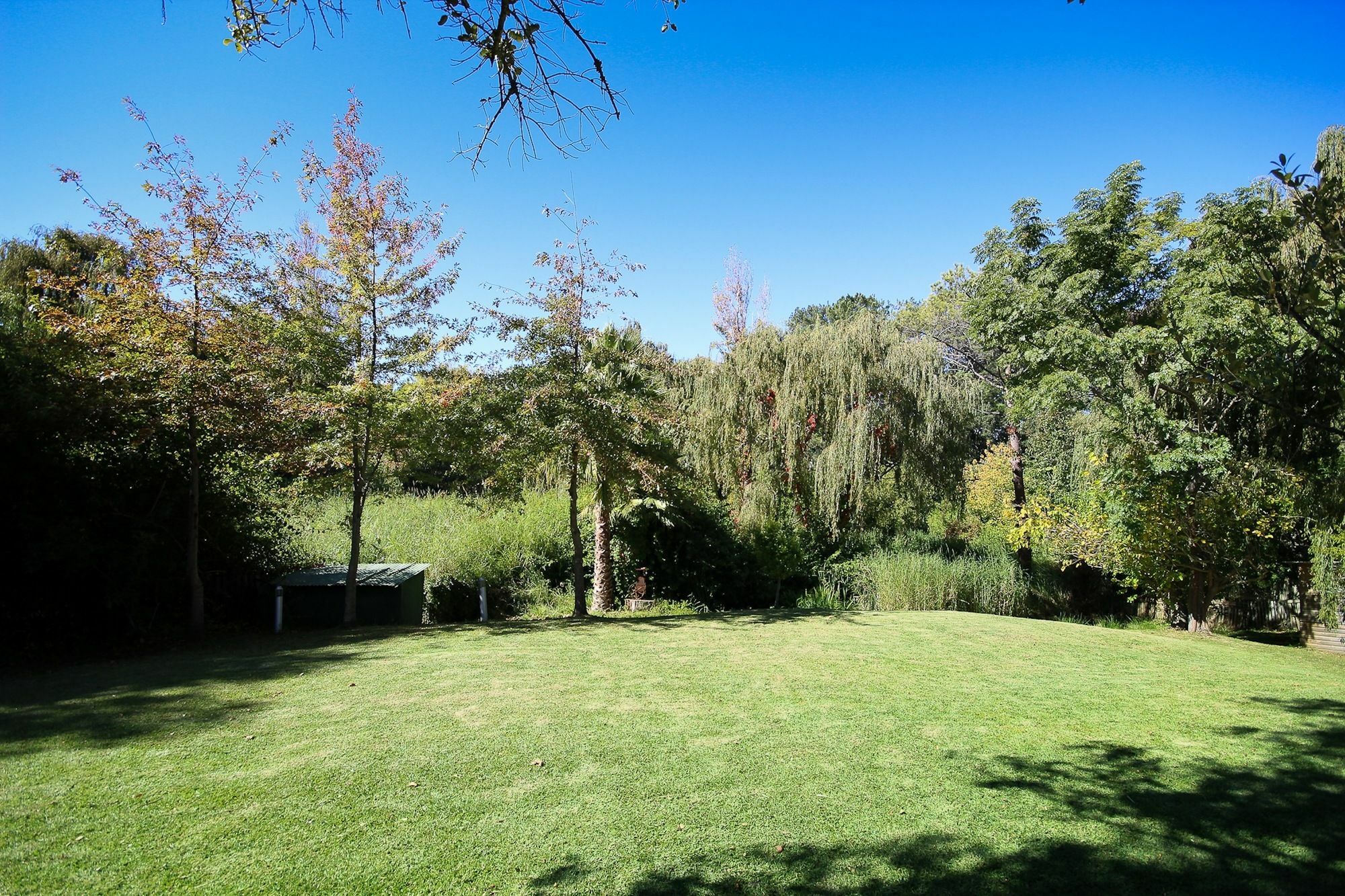 Constantia Spring Bed & Breakfast Dış mekan fotoğraf