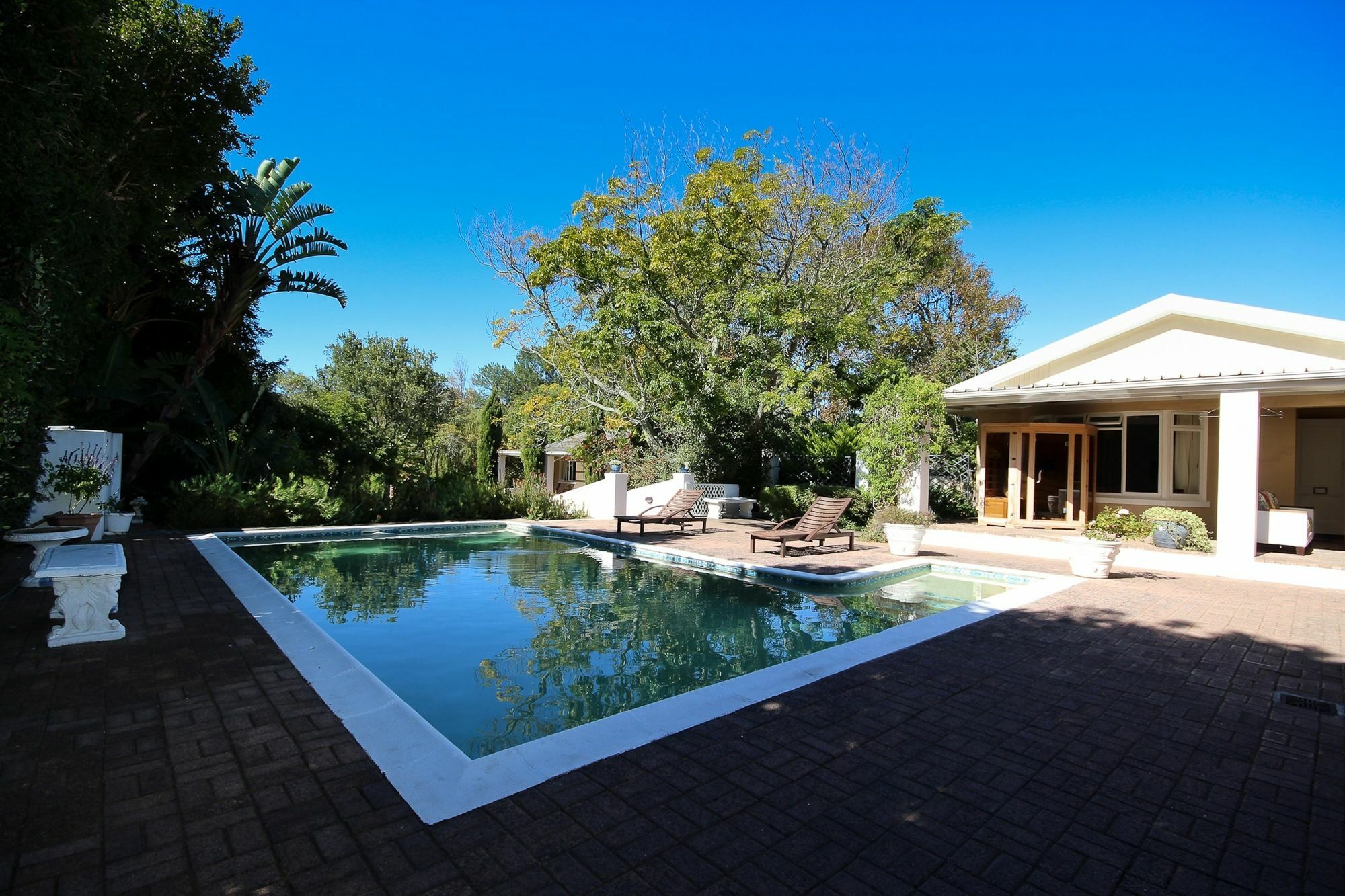Constantia Spring Bed & Breakfast Dış mekan fotoğraf