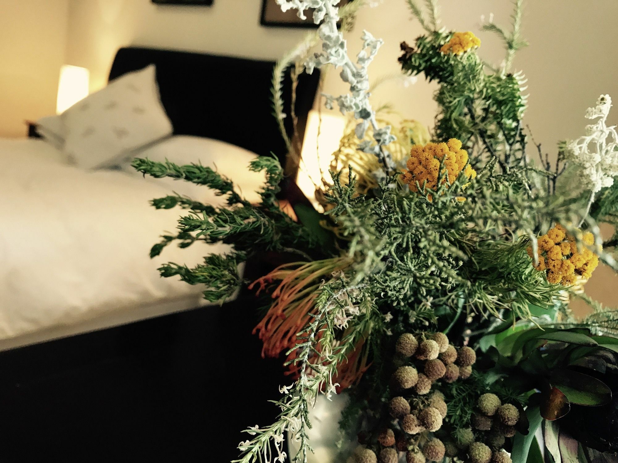 Constantia Spring Bed & Breakfast Dış mekan fotoğraf